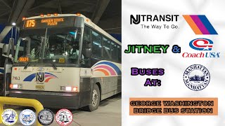 NJTransit Jitney amp Coach USA Buses At George Washington Bridge Bus Station [upl. by Orly]