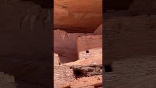 The history of Three Turkey Ruins wAlvin Yellowhorse navajo canyondechelly ruins [upl. by Tullus]