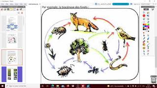 UAA6  cours 1  La biocénose les facteurs biotiques et abiotiques [upl. by Eiramac]