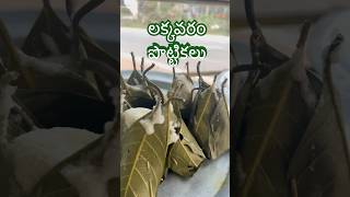 లక్కవరం పొట్టికలు tiffin tiffinrecipe eastgodavari lakkavaram tastyfood makingvideos [upl. by Marra798]