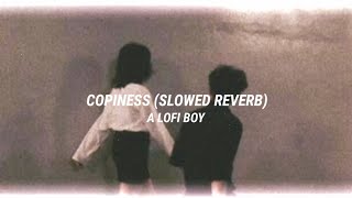 Aya Nakamura  Copiness 💛✨Slowed Reverb • A lofi boy ❣️ [upl. by Vere]