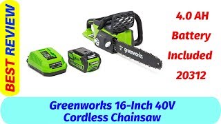 Greenworks 20312 Review 2019  Cordless Chainsaw [upl. by Launce]