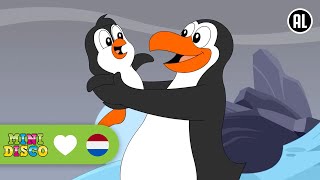 MIJN PAPA PINGUIN  Kinderliedjes  Minidisco [upl. by Clute561]