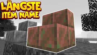 Der LÄNGSTE ITEM NAME in Minecraft 🤯 shorts [upl. by Eelymmij]