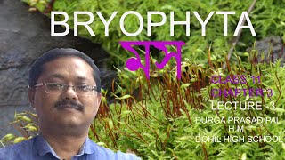 biology class 11 ncert chapter 3 banglabryophyta bengali ব্রায়োফাইটা plant kingdom moss [upl. by Hudson889]