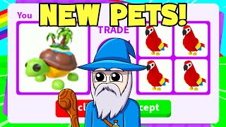 Trading New ISLAND TURTLE PET Roblox Adopt me [upl. by Eillen]