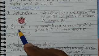 CLASS12C10PART8जैव नियंत्रण कारक के रूप में सूक्ष्मजीवMicrobes as Biocontrol Agents [upl. by Nanine]