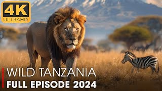 WILD TANZANIA  Lion Destroyed Whole Clan of Hyenas FULL EPISODE  Nature Animal Documentary [upl. by Irahc]