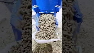 Electric poultry chicken feeds grass pellet making machine diesel cattle pelletizer machine [upl. by Eejan]