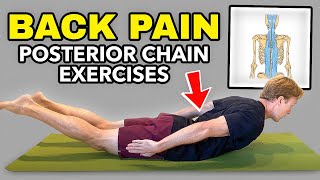 5 Exercises to Alleviate Back Pain Posterior Chain Strengthening [upl. by Ahsienek]