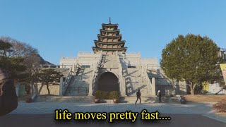 life moves pretty fast south korea edit [upl. by Ailima572]