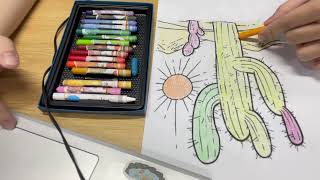 Instructions for coloring a picture of a cactus in the sun [upl. by Aritak632]