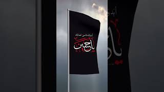 Hussain zindabad [upl. by Hanover]