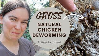 Worms in chicken poop GROSS  How naturally deworm chickens [upl. by Abbotsen]