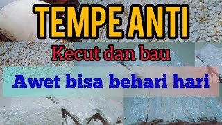 Pemula wajib tonton cara membuat tempe anti kecut pahit dan bau dan bisa awet sampai berhari hari [upl. by Ahsenrac6]