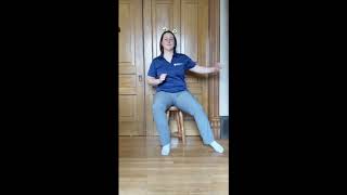 Seated Cardio Program 1 [upl. by Ahab22]