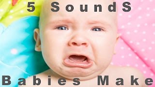 5 Sounds Babies Make  Newborn Cries  HQ [upl. by Amil242]