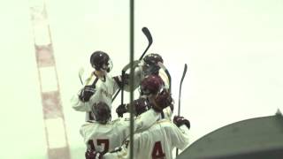 Newburyport Hockey vs Lynnfield 2016 [upl. by Antin]