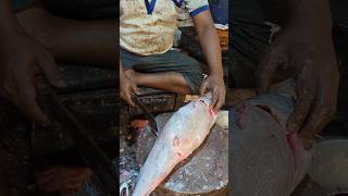 Amazing Big Catfish Cutting Skills Live In Fish Market  shorts [upl. by Ylrrad]