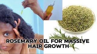 How to make the best rosemary oil for “MASSIVE HAIR GROWTH” from bald to healthy hair Subscribe [upl. by Oakleil204]