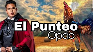 El punteo  Opac [upl. by Aeriela690]