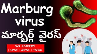 Marburg Virus Explained Symptoms Transmission and Prevention [upl. by Itteb716]