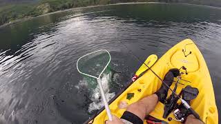 British Columbia Kayak Fishing Salmon Lingcod Dolphins Orcas Bears [upl. by Yamauchi]