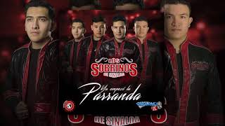 Los Sobrinos De Sinaloa  El Señor Estudio 2018 [upl. by Durwood]