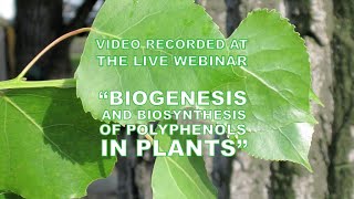 Webinars in Polyphenols Research quotBiogenesis and biosynthesis of polyphenols in plantsquot [upl. by Ennayar]