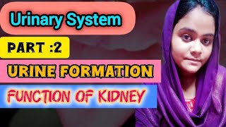 urine formation 😱  function of kidney part of nephron must watch ☑️✅studymotivation [upl. by Dlanod204]