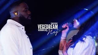 Vegedream feat nej  Pansement live acoustique [upl. by Frederique]