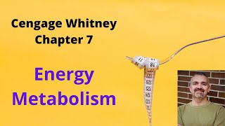 Cengage Whitney Nutrition Chapter 7 Lecture Video Energy Metabolism [upl. by Brenden474]