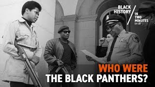 The Birth of the Black Panthers [upl. by Redwine485]