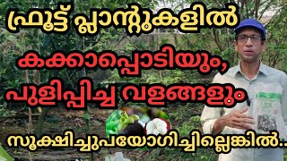 പഴച്ചെടികളുണ്ടെങ്കിൽ നിശ്ചയമായും അറിഞ്ഞിരിക്കണംfruitsplantsplantationsoil pHjeevamrutham [upl. by Floria]