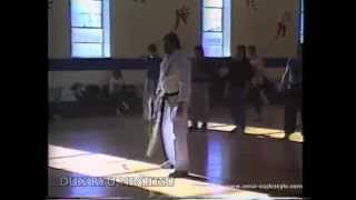 Dux Ryu Ninjitsu seminar Shidoshi Frank Dux quotTanaka Clan Ninjutsuquot [upl. by Nisaj]