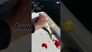 Fishing bream australiansalmon fishing [upl. by Ponzo]