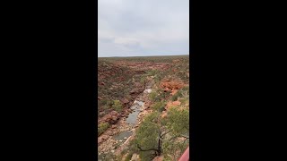 The best trails lead to gorgeous adventures 🌿🥾📍 KalbarriNationalPark in WAtheDreamState [upl. by Soisatsana692]