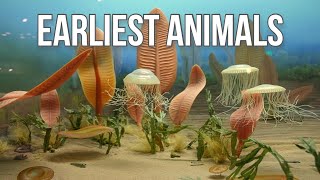 Precambrian Creatures The First Animals [upl. by Rebmik]