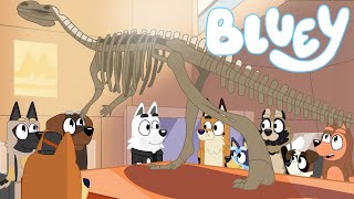 Bluey Fan Animated Short 1  Museum [upl. by Adyaj]