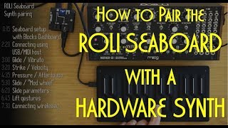 How to pair a ROLI Seaboard with a hardware synth shown with the Moog Mother32 and Seaboard Block [upl. by Ahsitruc]