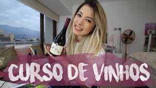 01  Introdução ao mundo dos vinhos  CURSO GRATUITO DE VINHOS  Laíse Mesquita [upl. by Alaric]