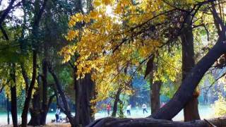 TONADA DE OTOÑO Mercedes Sosa Pocho Sosa Oscar Puebla guitarrawmv [upl. by Adnahc]