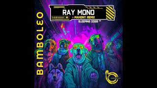 Ray Mono  Space Junk Original Mix BAMBOLEO [upl. by Atnoed]