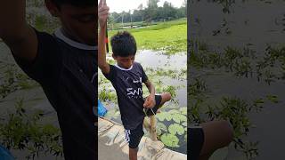 Little boy fishing 🐬 fishing hookfishing [upl. by Ayanad]