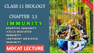 CELL MEDIATED IMMUNITY VS ANTIBODY MEDIATED IMMUNITY HUMORAL IMMUNITY CLASS 11 NEW BIOLOGY SINDH [upl. by Ecirp]