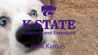 Walk Kansas  Why I Walk [upl. by Landbert388]