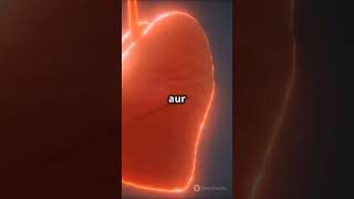 How pacemaker works  facts viralvideo viralshorts heart [upl. by Tailor]