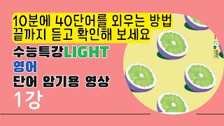 수능특강 Light 영어 1강  단어 암기 테스트 한방에 [upl. by Nodroj]