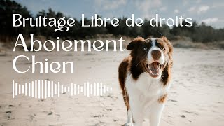 Aboiement de Chien  Bruitage Libre de Droit [upl. by Schoof]