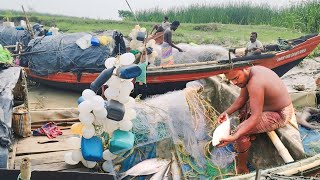 কুকড়াহাটী নদীতে বন্যার পানিতে ইংলিশ মাছ Hugli river NATURALFISHINGVLOG [upl. by Eirovi]